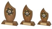 Light Oak Wood Stand Award