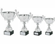 Silver Presentation Cup with handle