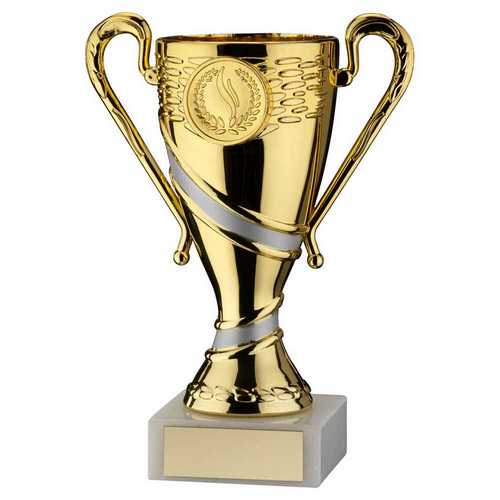 Gold|matt Silver Plastic Trophy Cup With Plate (1in Centre)