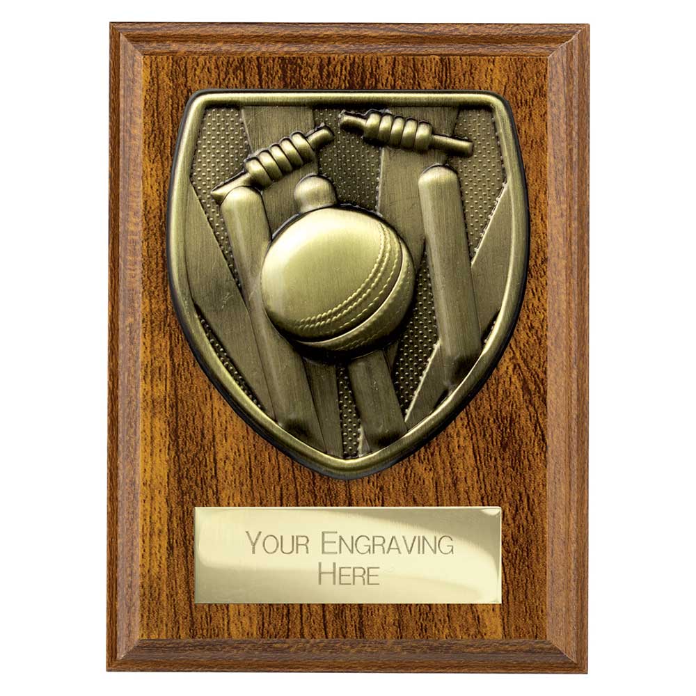 Cobra Plaque Cricket Award