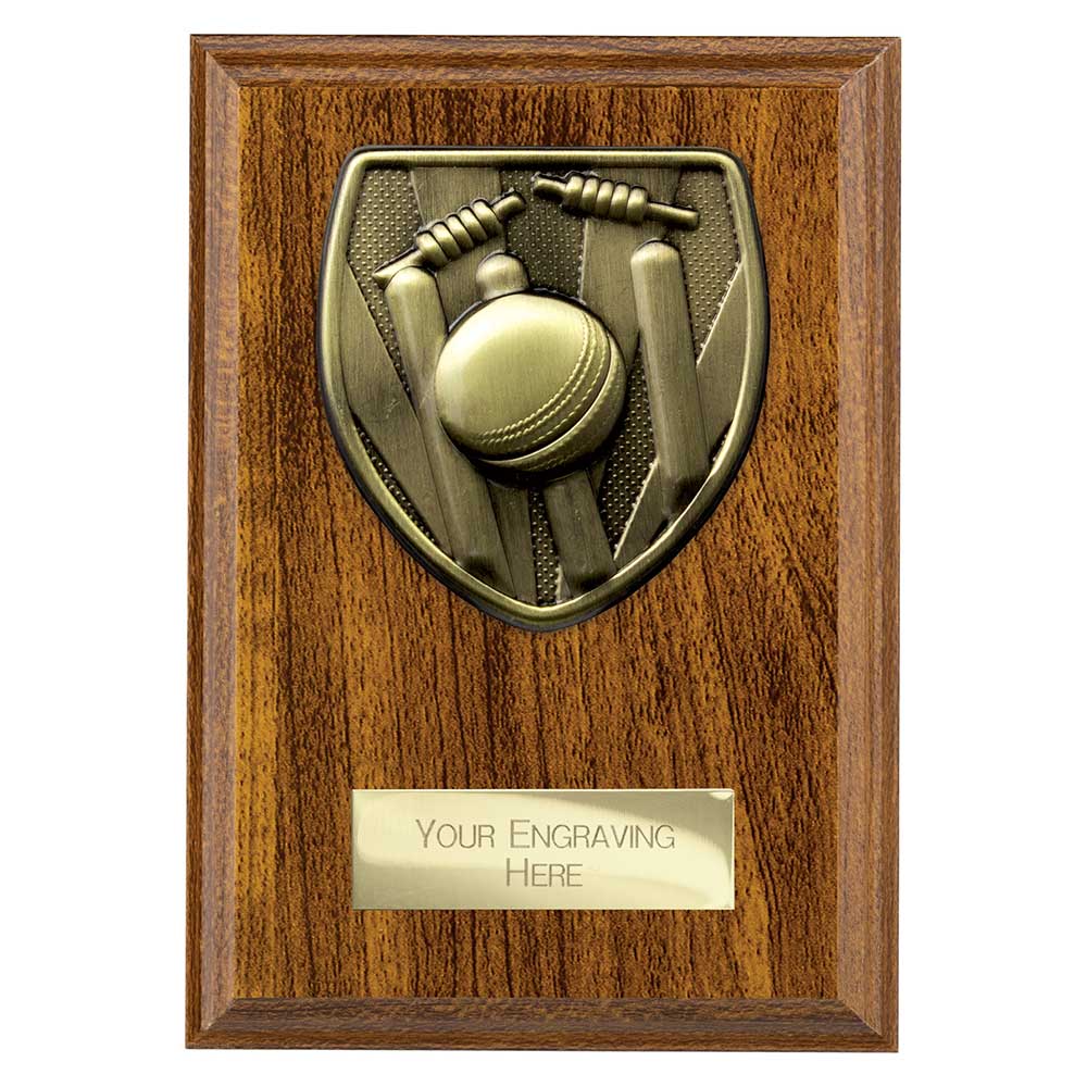 Cobra Plaque Cricket Award