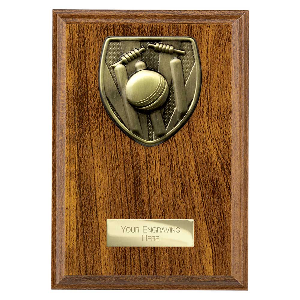 Cobra Plaque Cricket Award