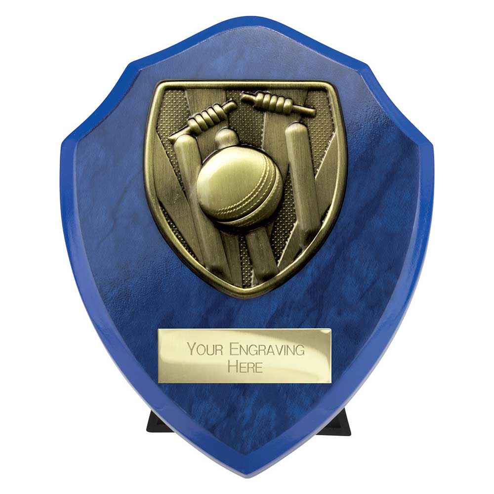 Cobra Shield Cricket Award