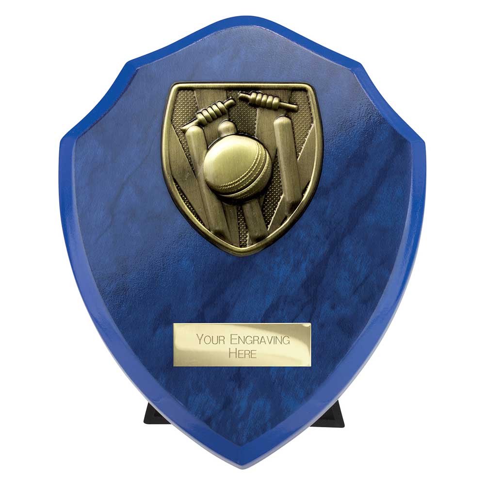 Cobra Shield Cricket Award