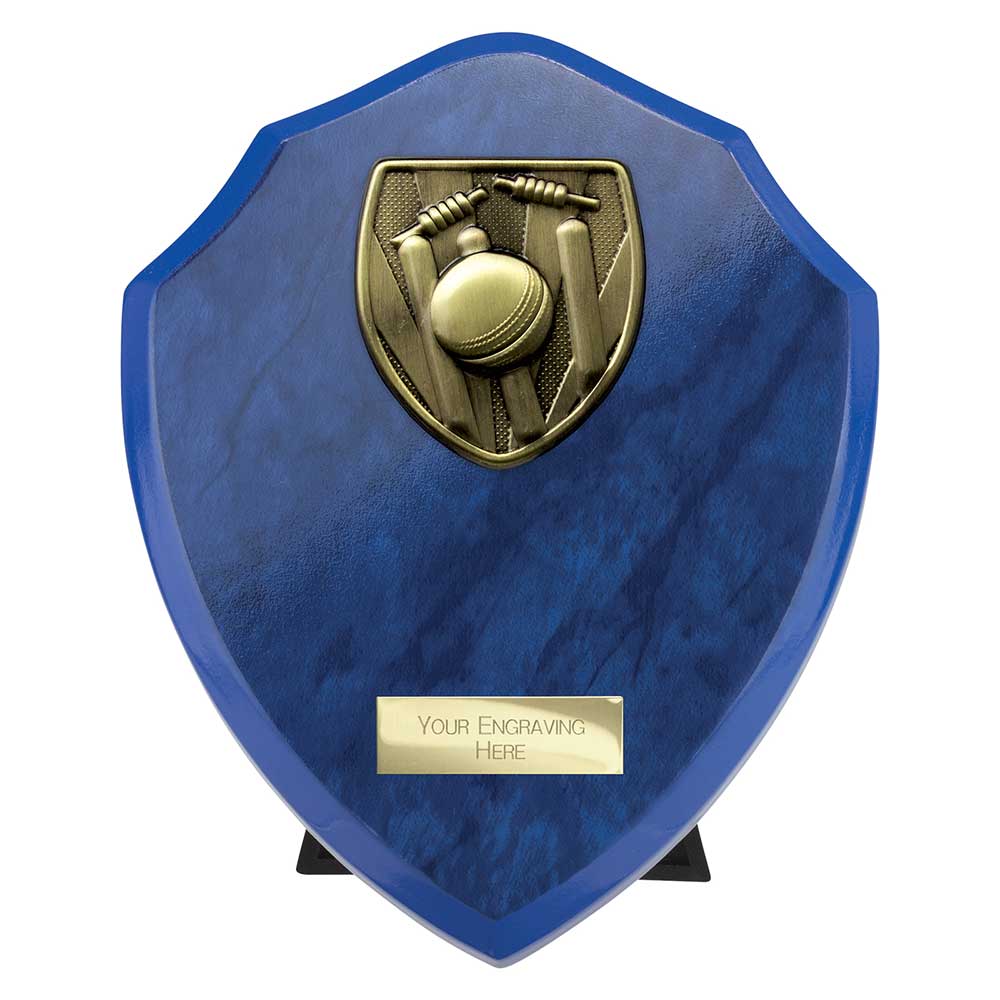 Cobra Shield Cricket Award