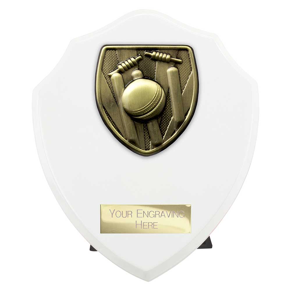 Cobra Shield Cricket Award