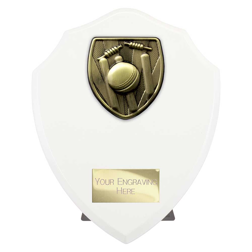 Cobra Shield Cricket Award