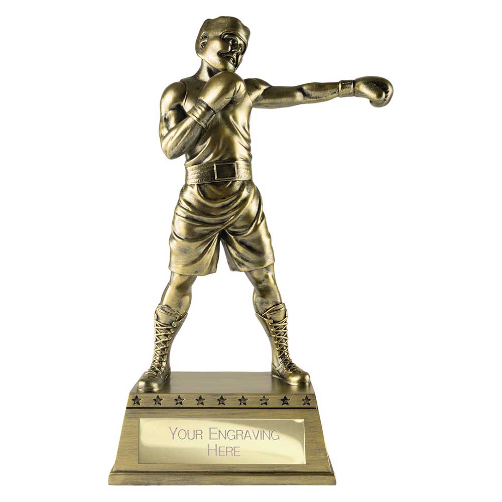 The Classic Boxing Award
