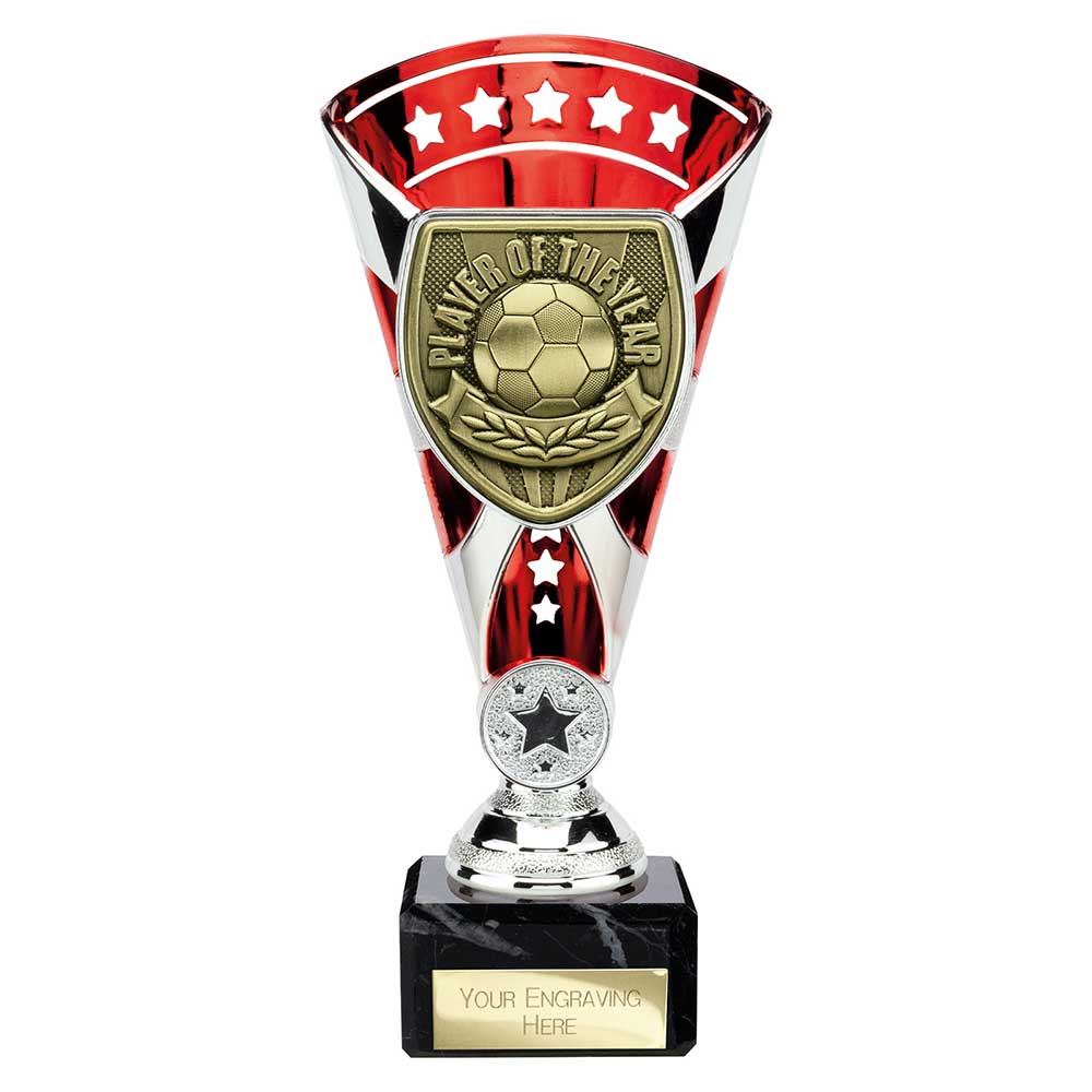 Cobra Star Cup Player of Year Silver & Red