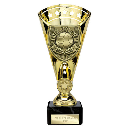 Cobra Star Cup Player of Year Gold