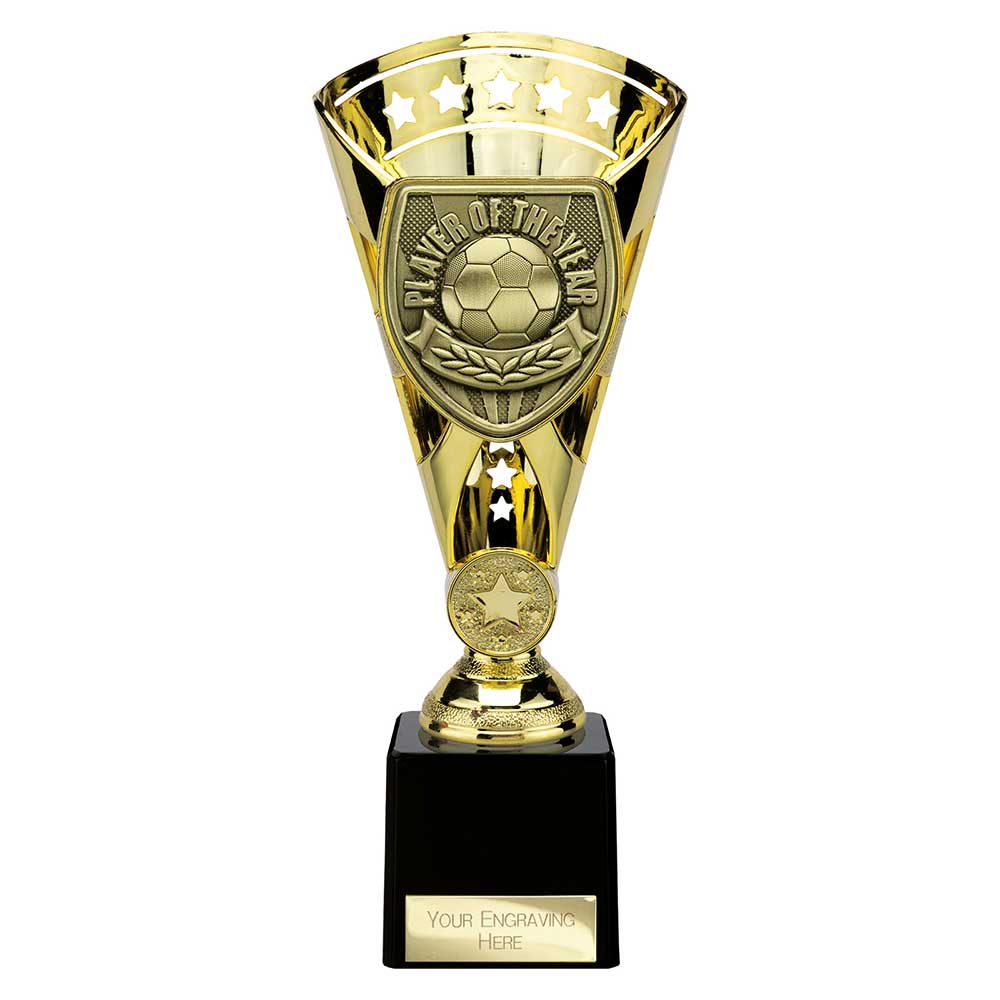 Cobra Star Cup Player of Year Gold