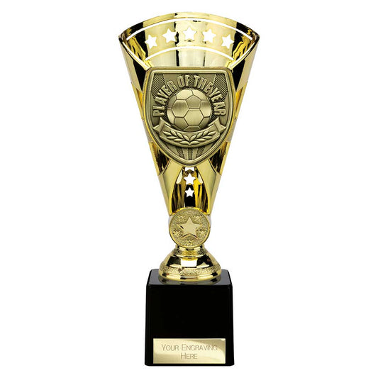 Cobra Star Cup Player of Year Gold