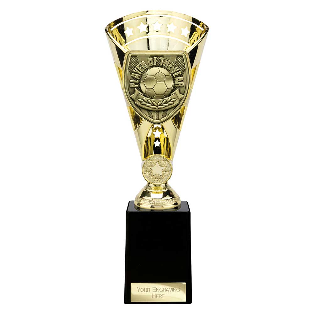 Cobra Star Cup Player of Year Gold