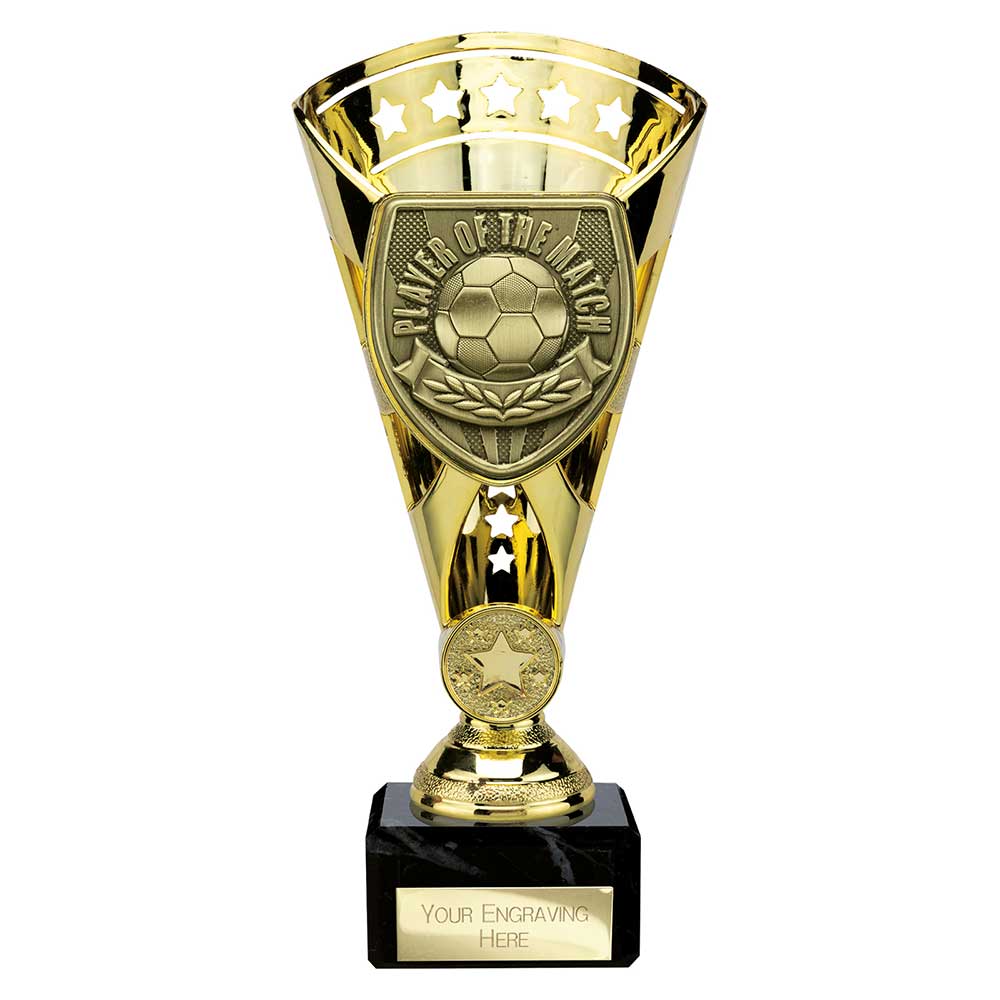 Cobra Star Cup Player of Match Gold
