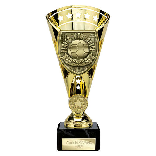 Cobra Star Cup Player of Match Gold