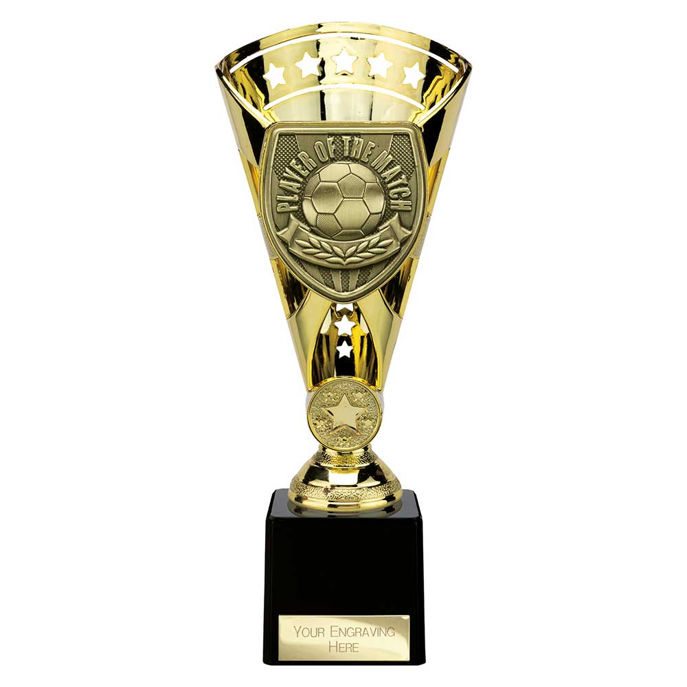 Cobra Star Cup Player of Match Gold