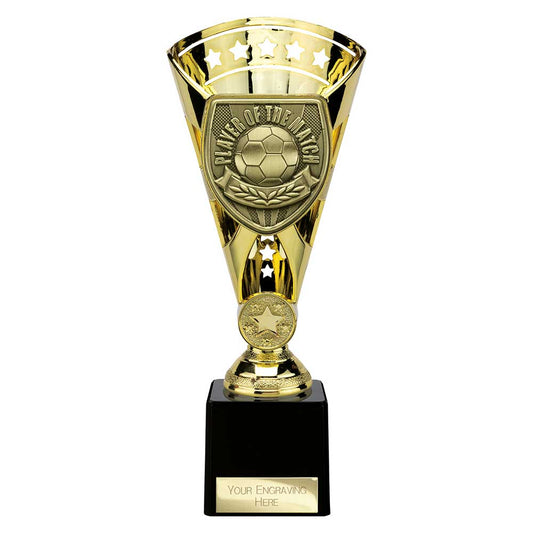 Cobra Star Cup Player of Match Gold