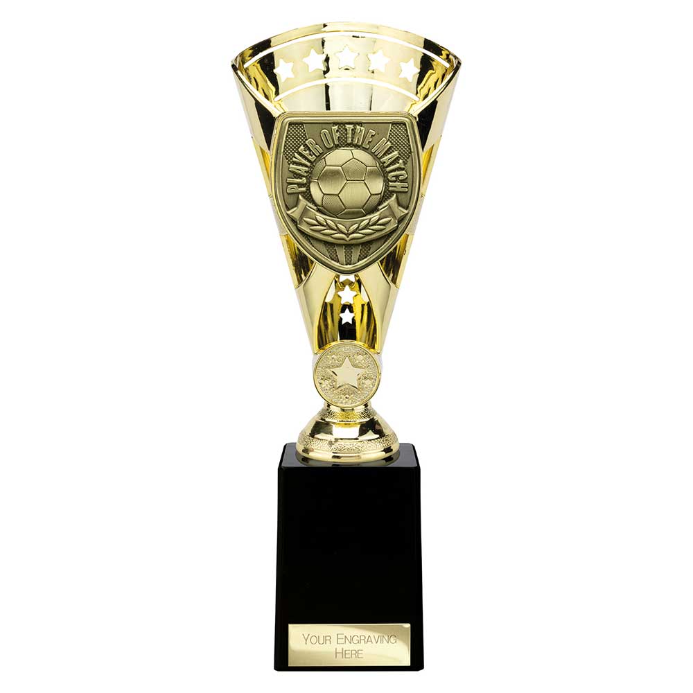 Cobra Star Cup Player of Match Gold