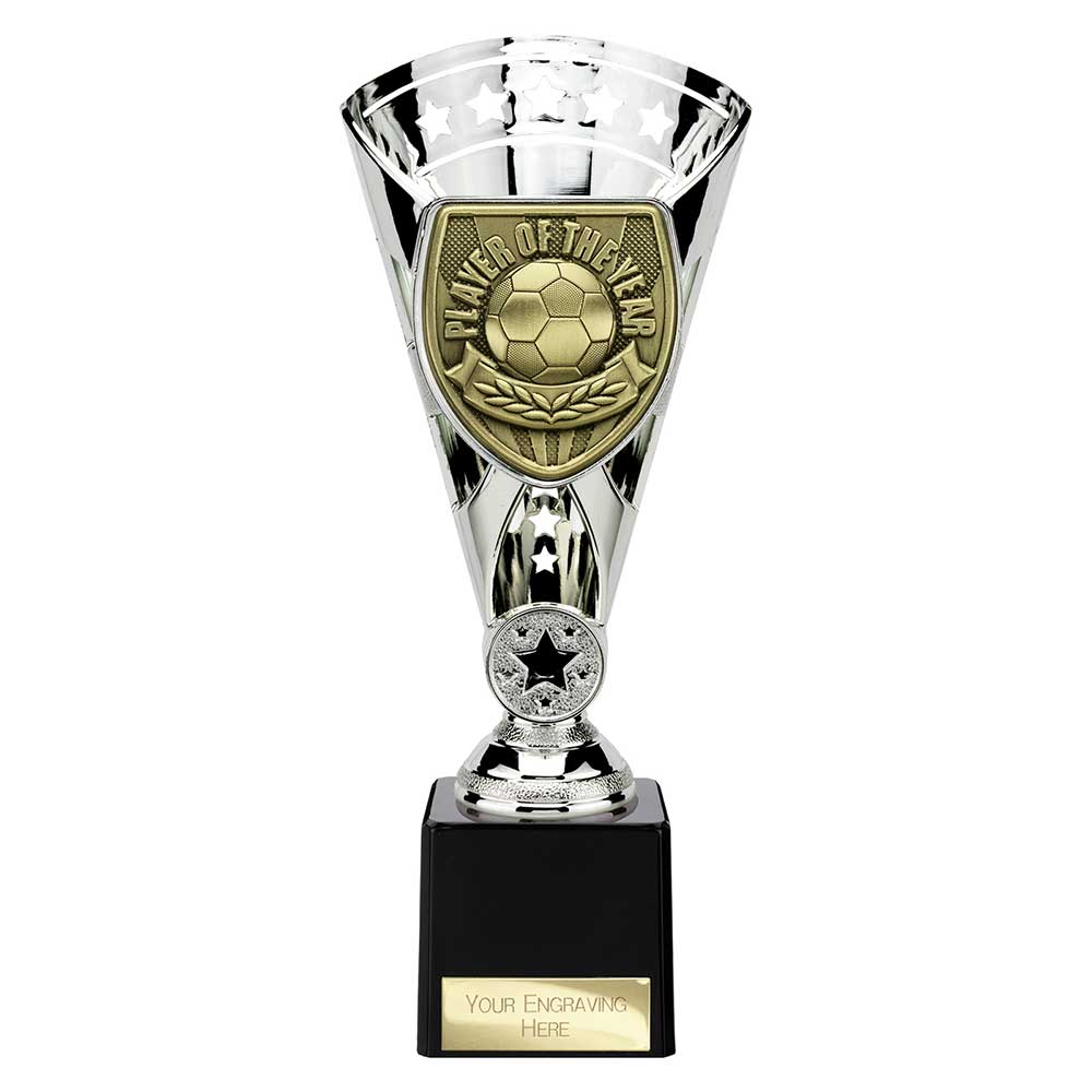 Cobra Star Cup Player of Year Silver
