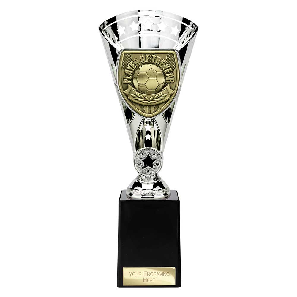 Cobra Star Cup Player of Year Silver