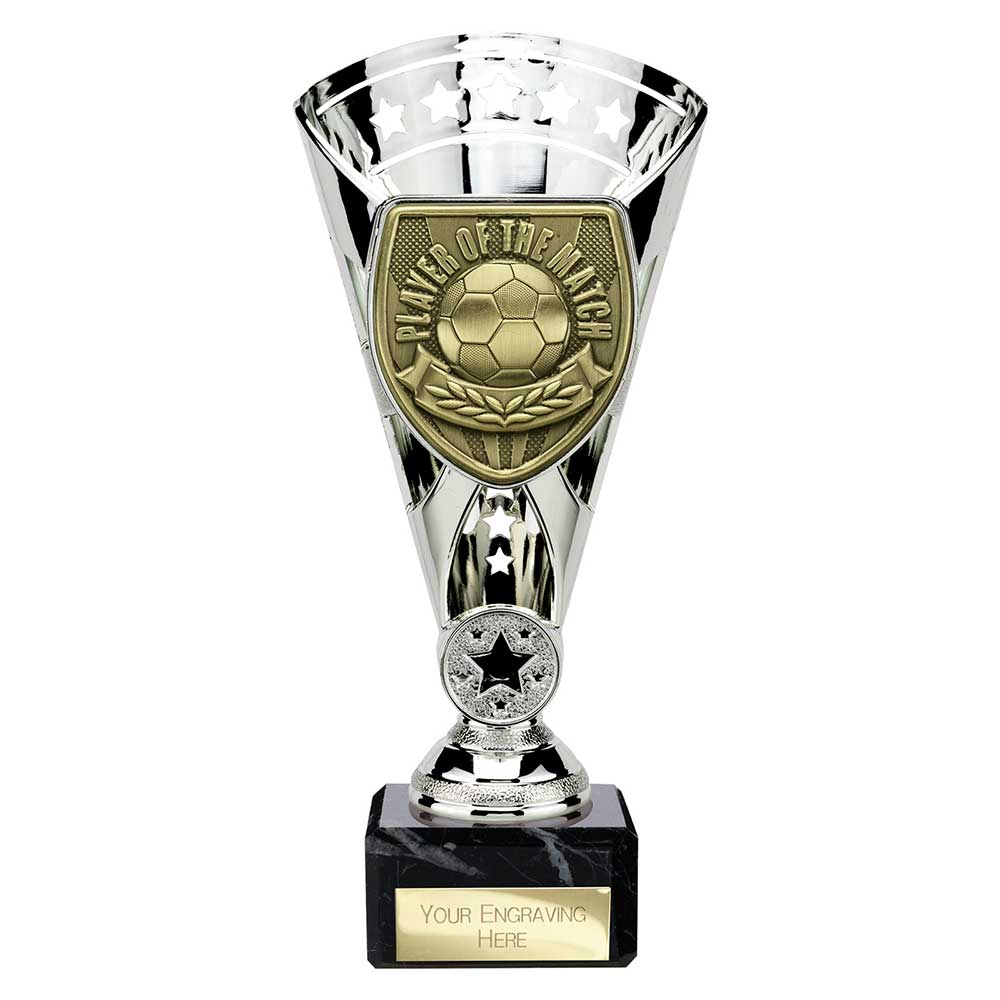 Cobra Star Cup Player of Match Silver