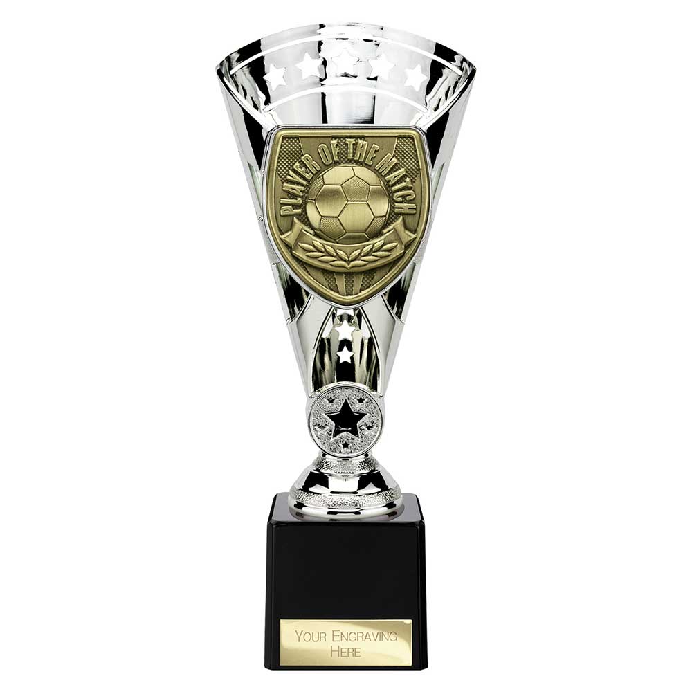 Cobra Star Cup Player of Match Silver