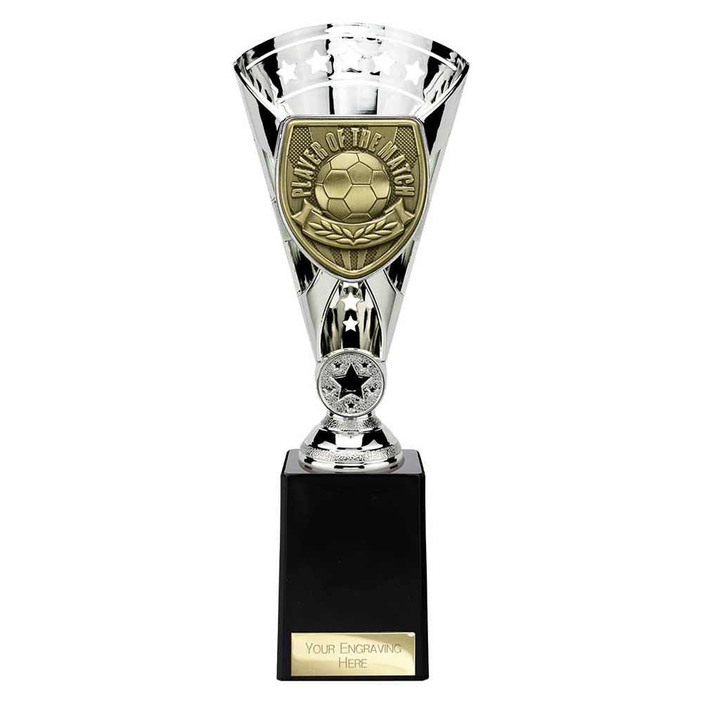 Cobra Star Cup Player of Match Silver