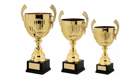 Gold Presentation Cup With Handles