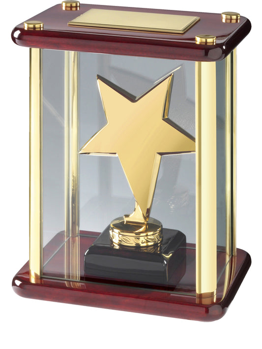 Star Award - 2 Colours