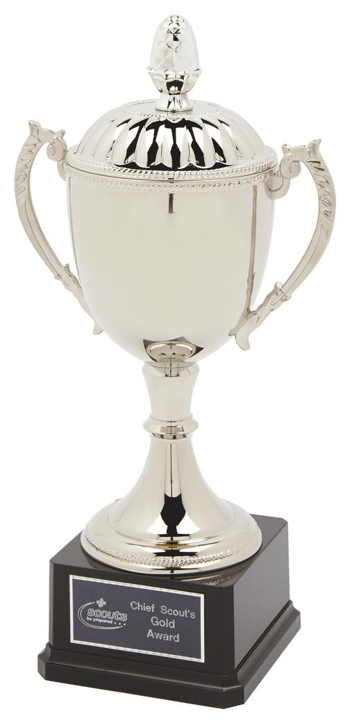 Nickel Plated Trophy Cup With Lid Versatile