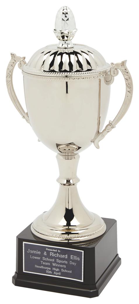 Nickel Plated Trophy Cup With Lid Versatile