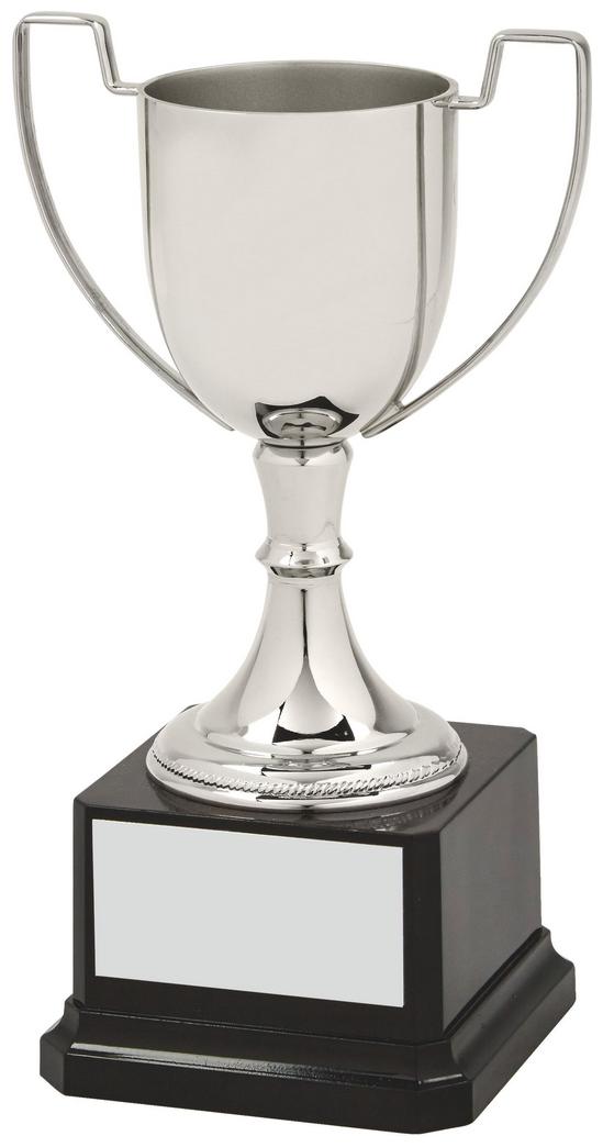 Nickel Plated Trophy Cup