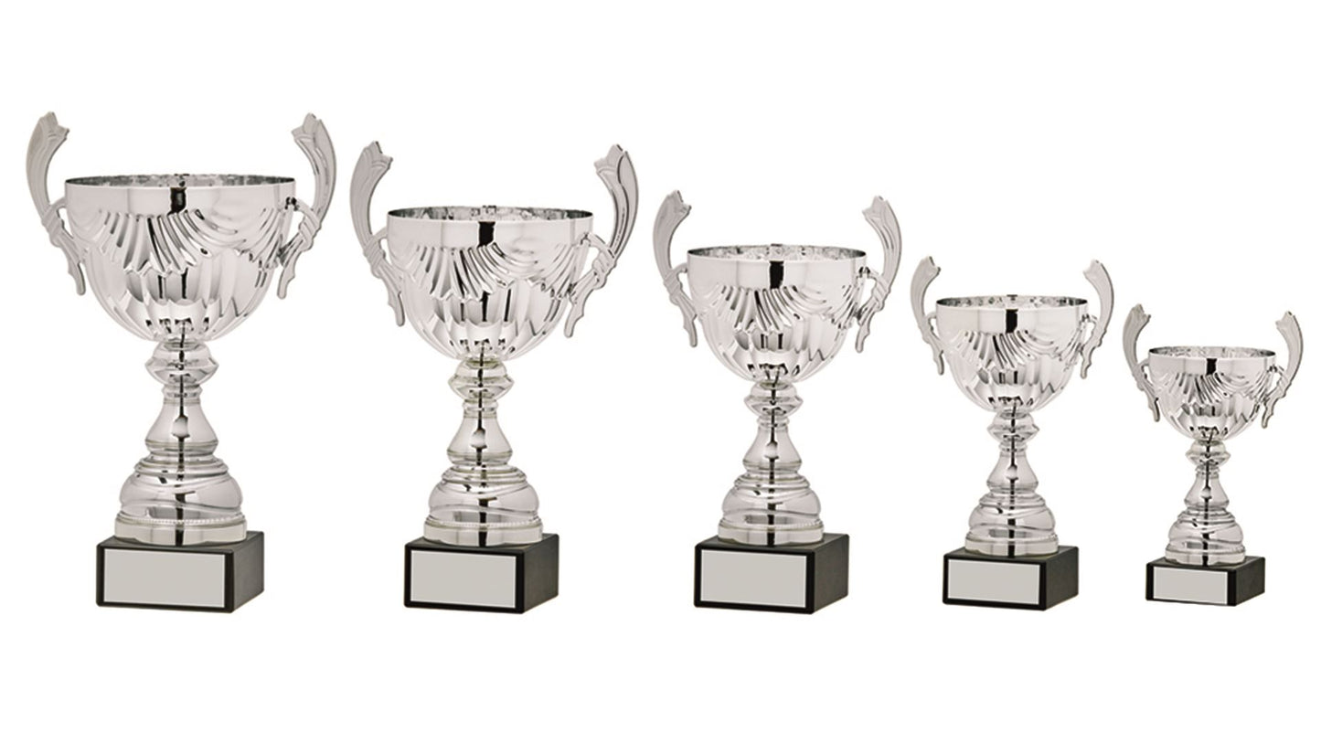 Silver Presentation Cup with Handles