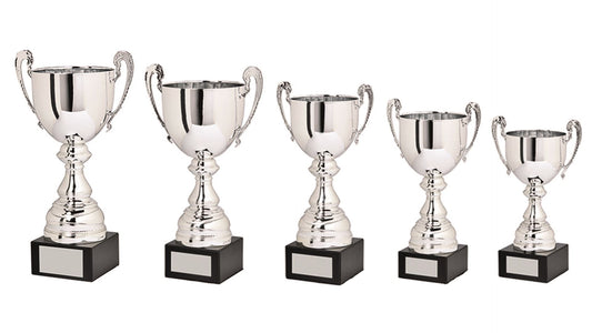 Silver Presentation Cup
