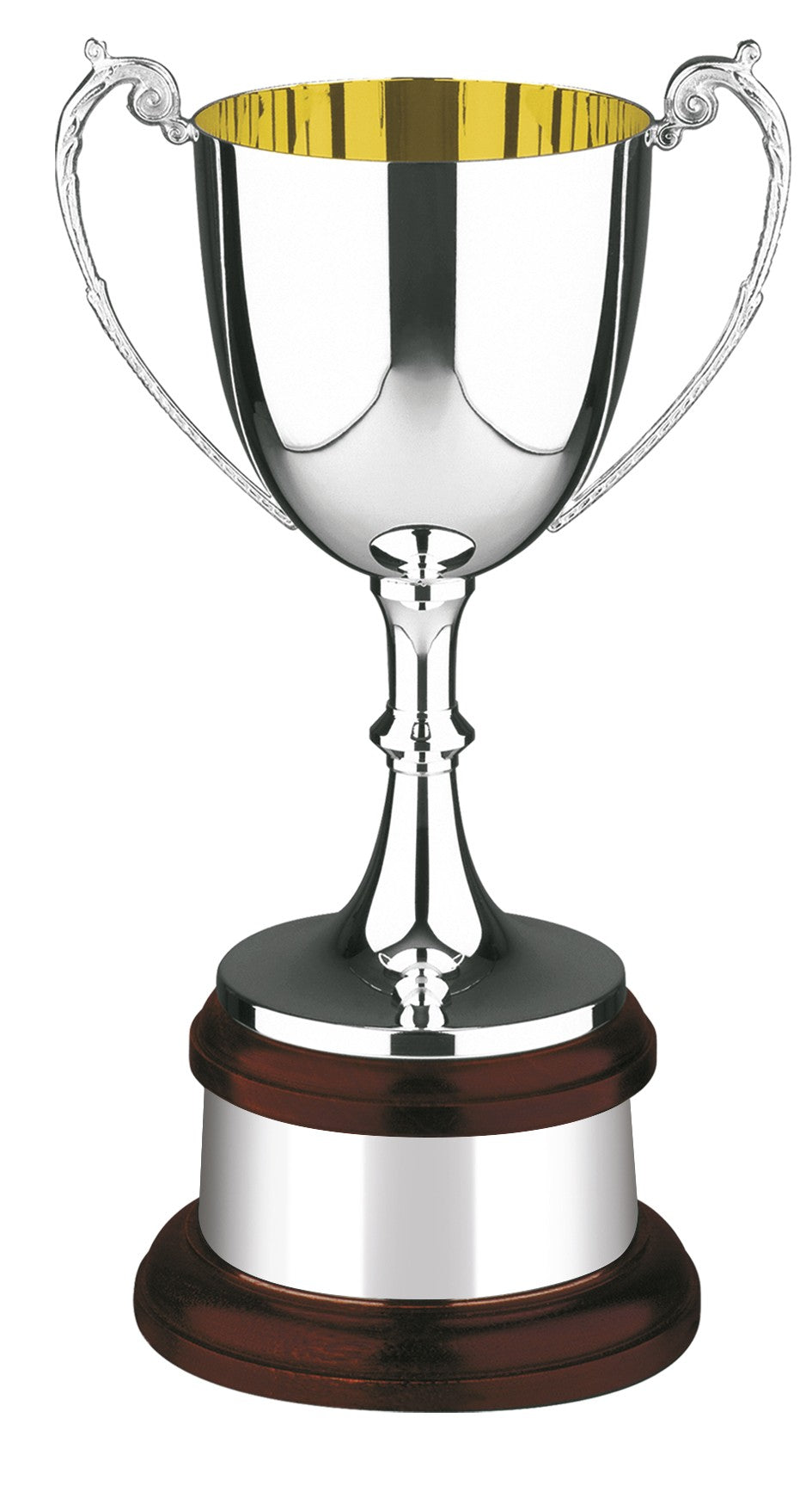 30.5cm Traditional SIlver Plated Gold Inside on Mahogany Plinth