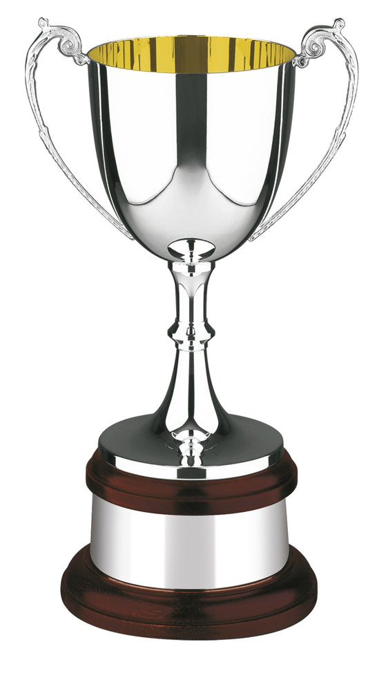 30.5cm Traditional SIlver Plated Gold Inside on Mahogany Plinth