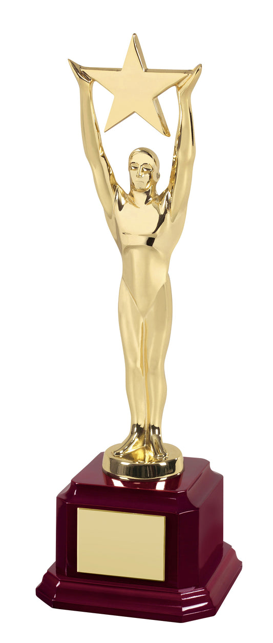 MB 29cm Gold Plated Star Award