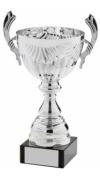 Silver Presentation Cup With Handles