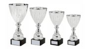 Silver Presentation Cup