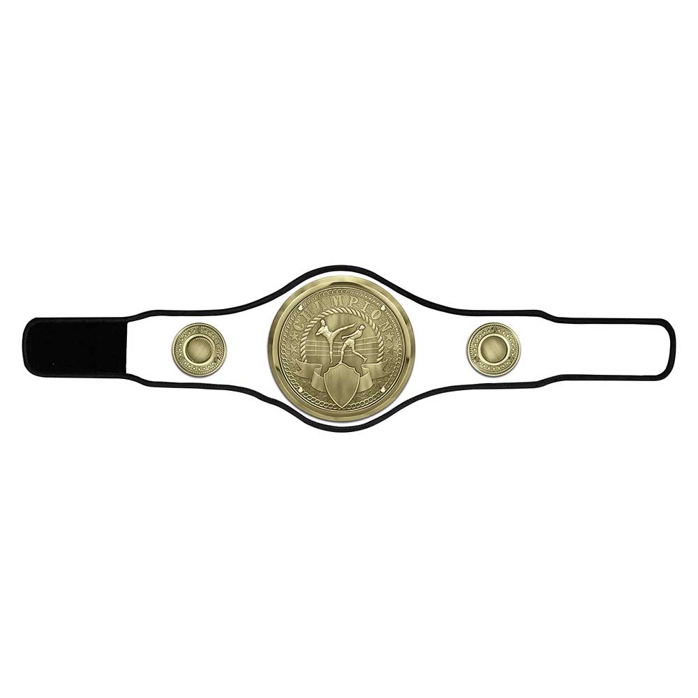Champion Belt Kickboxing Award