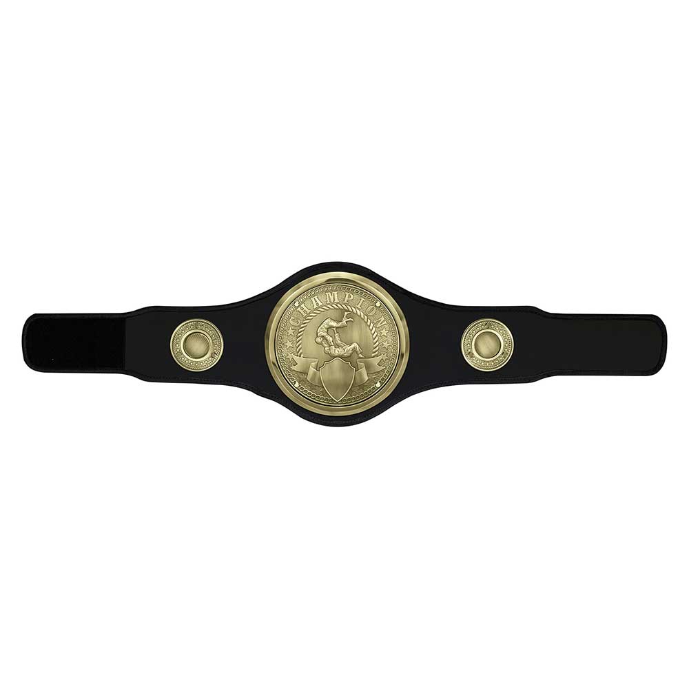 Champion Belt Judo/Jujitsu Award