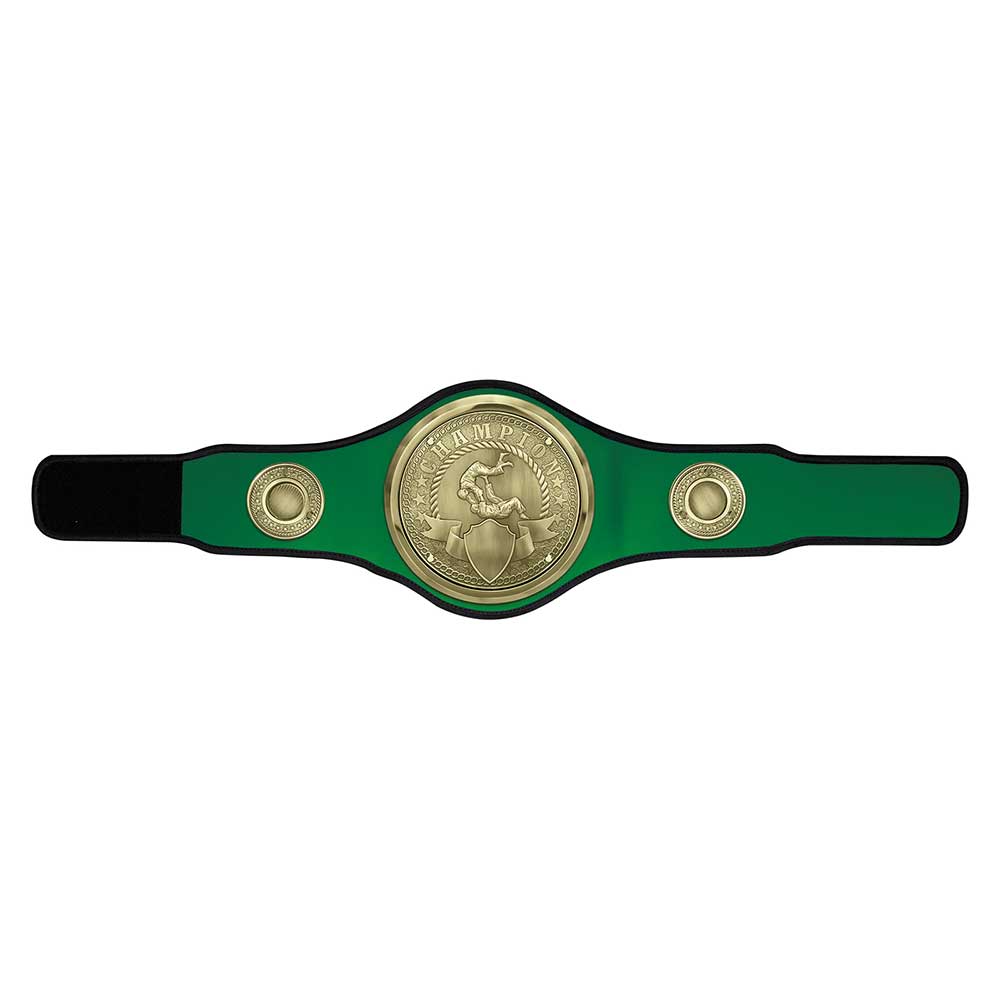 Champion Belt Judo/Jujitsu Award