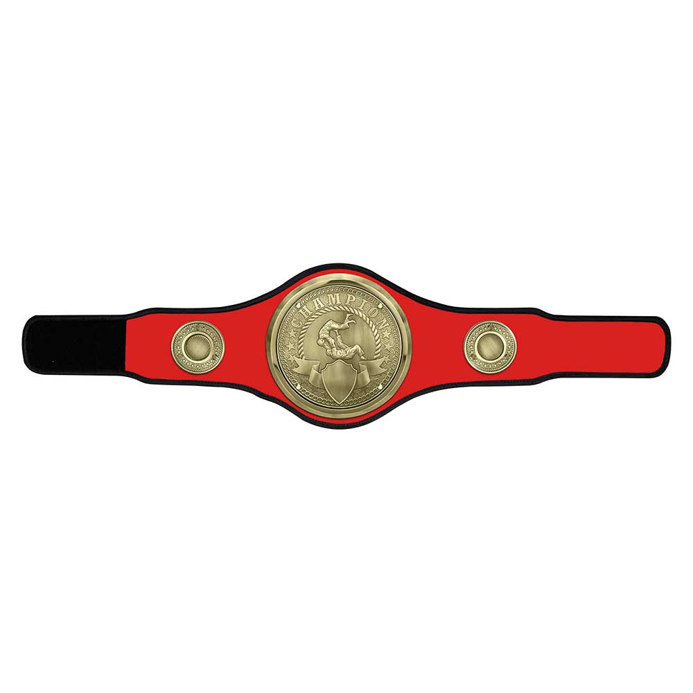 Champion Belt Judo/Jujitsu Award