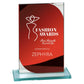 Seismic Multisport Mirror Glass Award