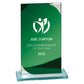 Seismic Multisport Mirror Glass Award