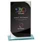Seismic Multisport Mirror Glass Award
