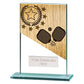 Mustang Pickleball Jade Glass Award