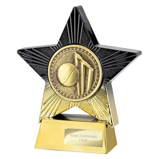 Superstar Cricket Award