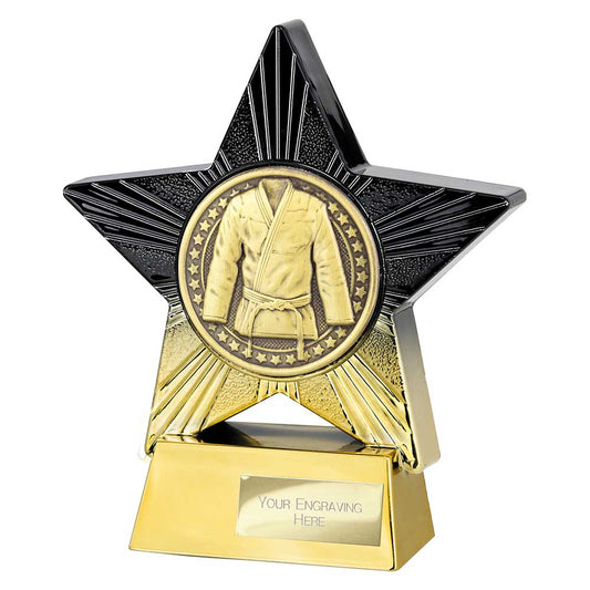Superstar Martial Arts Award