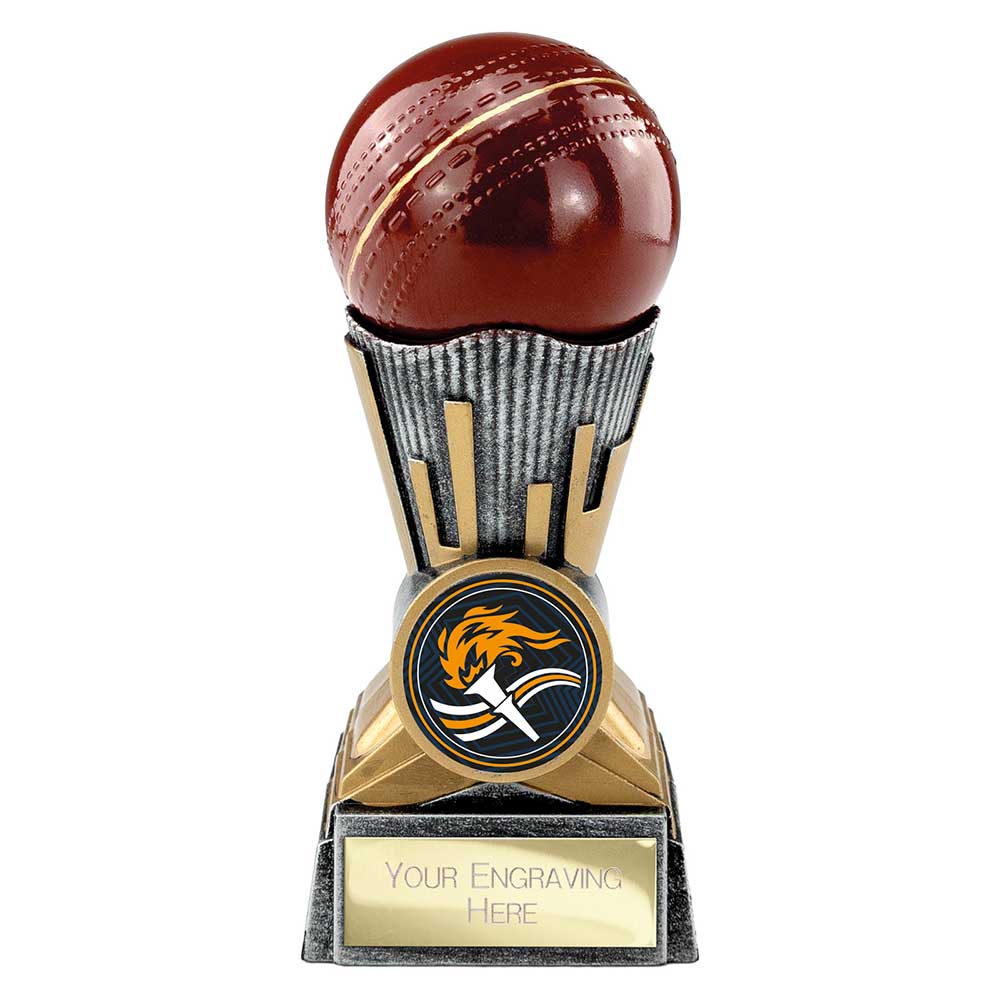 Digital Cricket Award